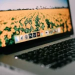 Dijital Dünyanın Mimarı: Yazılım Geliştirme Süreci ve Geleceği