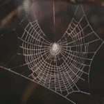 Dijital Dünyada Öne Çıkın: Modern Web Tasarımı Rehberi