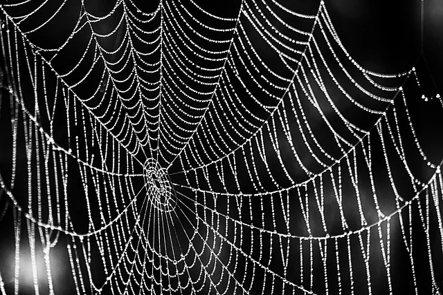 Dijital Dünyadaki Vitrininiz: Başarılı Bir Web Tasarımı Nasıl Olmalı?