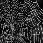 Modern Web Tasarım Rehberi: Dijital Dünyada Öne Çıkmanın Yolları