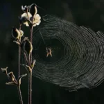 Dijital Dünyada Fark Yaratın: Modern Web Tasarımı Rehberi